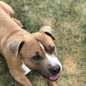 Meet your Posher, Caseycasey